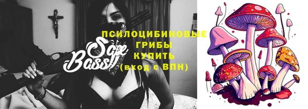 2c-b Алзамай