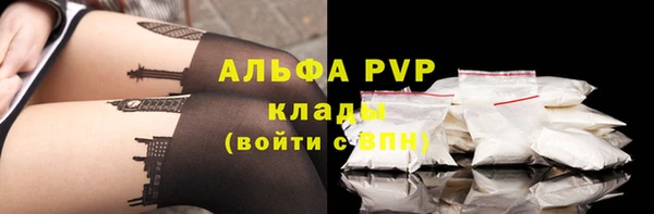 стаф Рославль