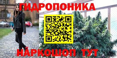 каннабис Абакан