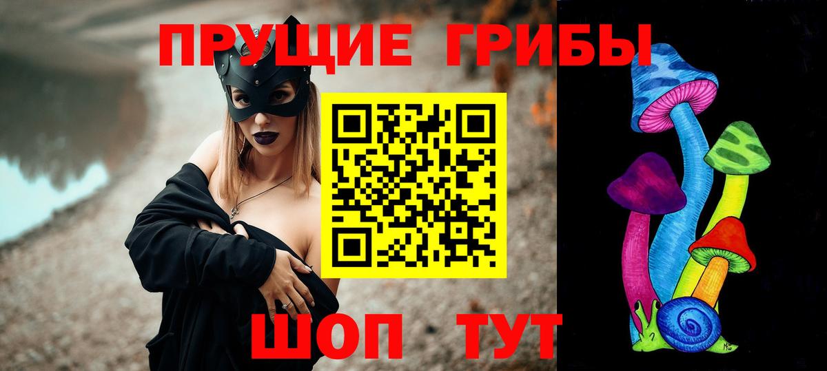 Галлюциногенные грибы Psilocybine cubensis Анжеро-Судженск